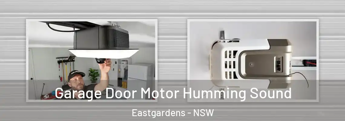 Garage Door Motor Humming Sound Eastgardens - NSW