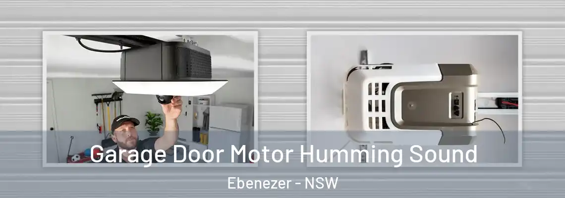 Garage Door Motor Humming Sound Ebenezer - NSW