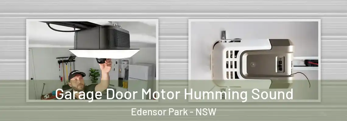 Garage Door Motor Humming Sound Edensor Park - NSW