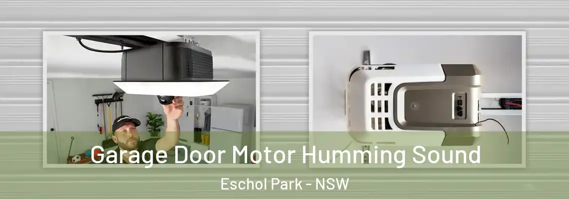 Garage Door Motor Humming Sound Eschol Park - NSW