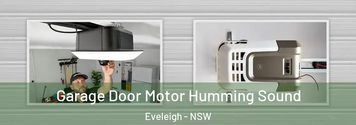 Garage Door Motor Humming Sound Eveleigh - NSW