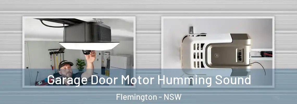 Garage Door Motor Humming Sound Flemington - NSW