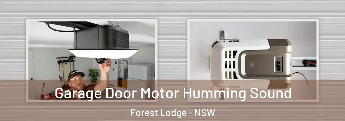 Garage Door Motor Humming Sound Forest Lodge - NSW