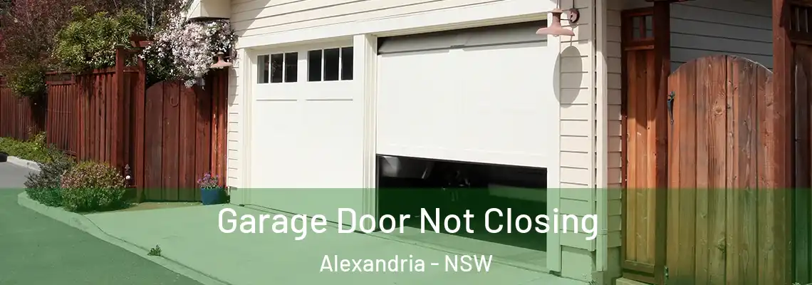  Garage Door Not Closing Alexandria - NSW