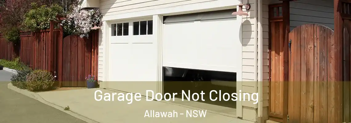 Garage Door Not Closing Allawah - NSW