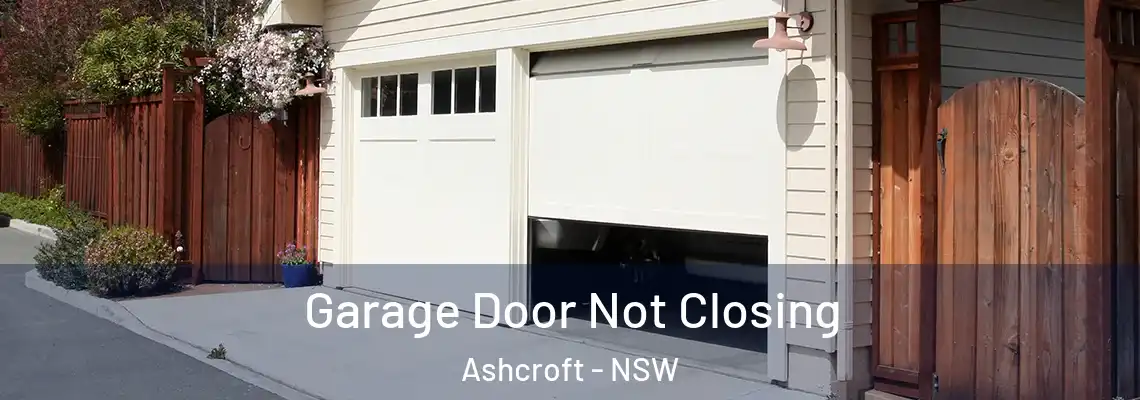 Garage Door Not Closing Ashcroft - NSW