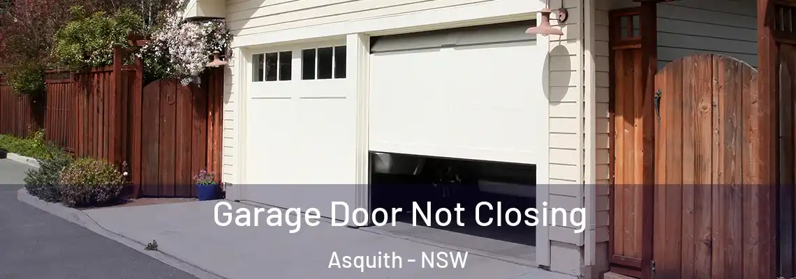Garage Door Not Closing Asquith - NSW