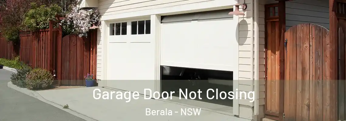 Garage Door Not Closing Berala - NSW