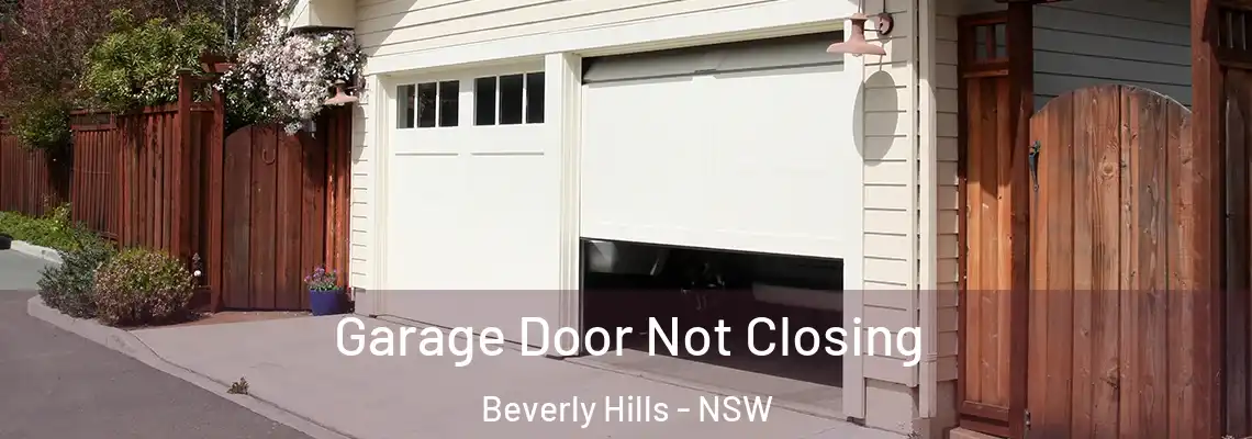 Garage Door Not Closing Beverly Hills - NSW
