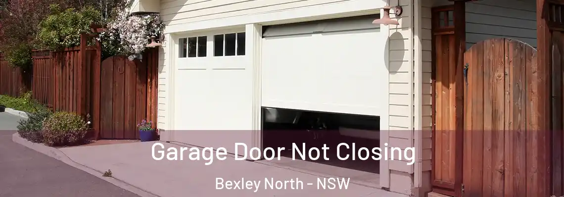 Garage Door Not Closing Bexley North - NSW