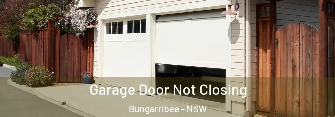 Garage Door Not Closing Bungarribee - NSW