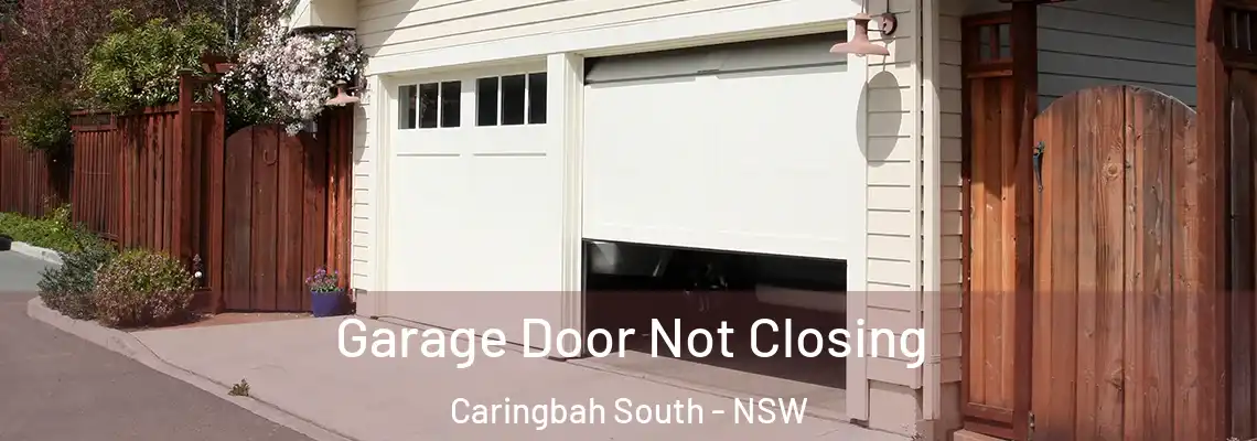 Garage Door Not Closing Caringbah South - NSW