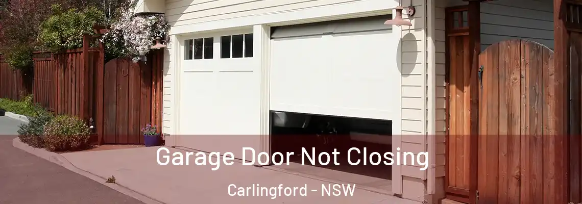 Garage Door Not Closing Carlingford - NSW