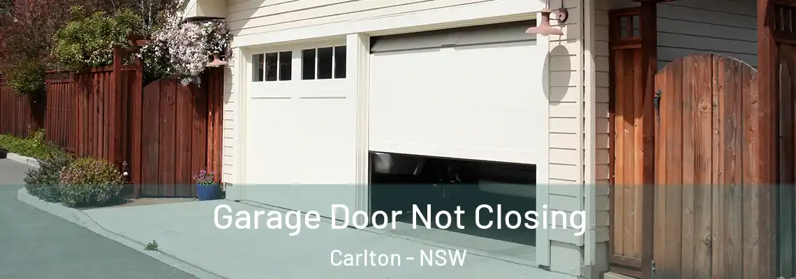 Garage Door Not Closing Carlton - NSW