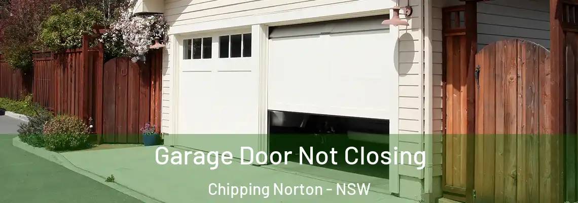 Garage Door Not Closing Chipping Norton - NSW