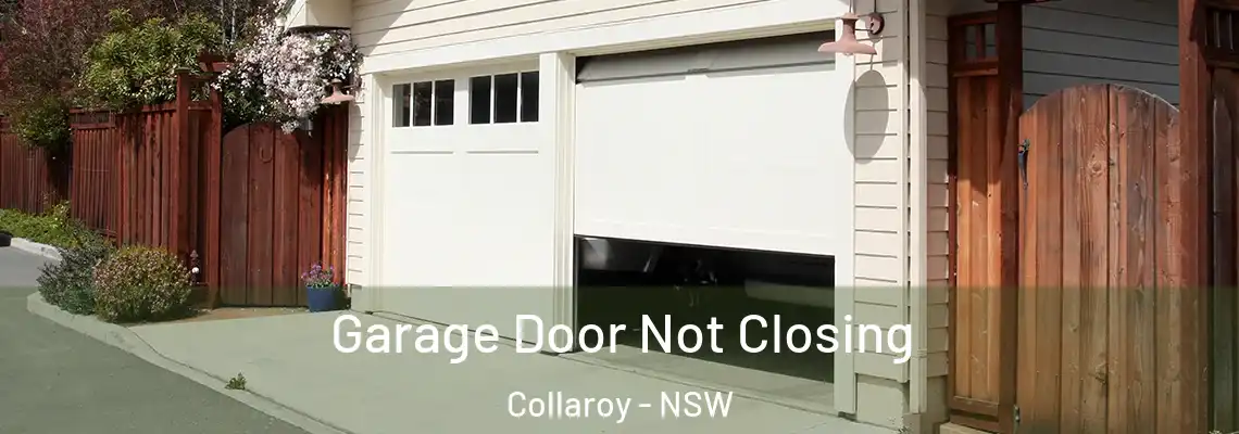 Garage Door Not Closing Collaroy - NSW