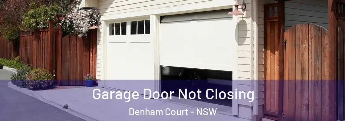 Garage Door Not Closing Denham Court - NSW
