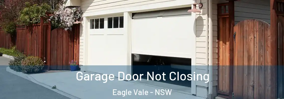 Garage Door Not Closing Eagle Vale - NSW