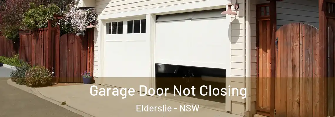 Garage Door Not Closing Elderslie - NSW