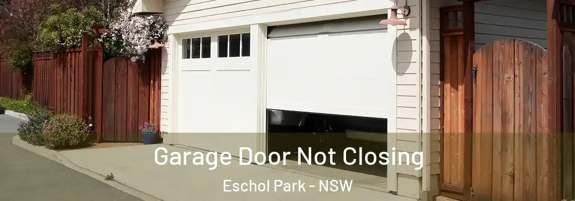 Garage Door Not Closing Eschol Park - NSW