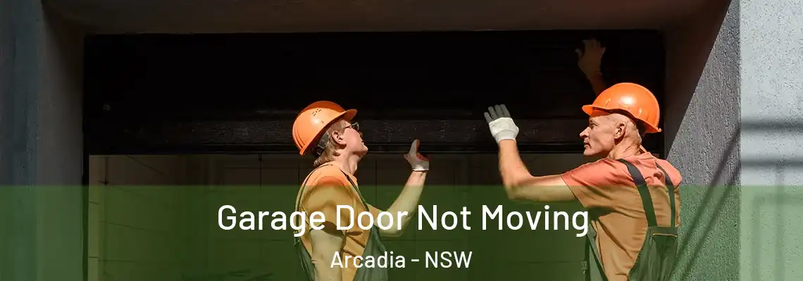 Garage Door Not Moving Arcadia - NSW