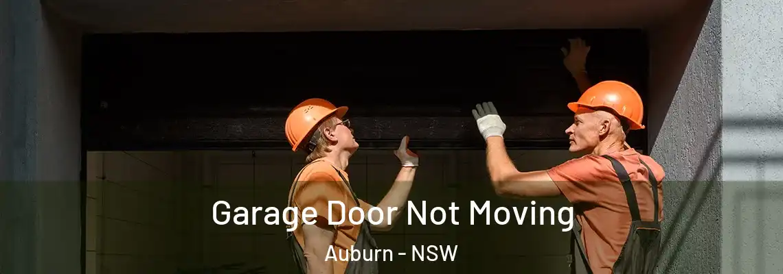 Garage Door Not Moving Auburn - NSW