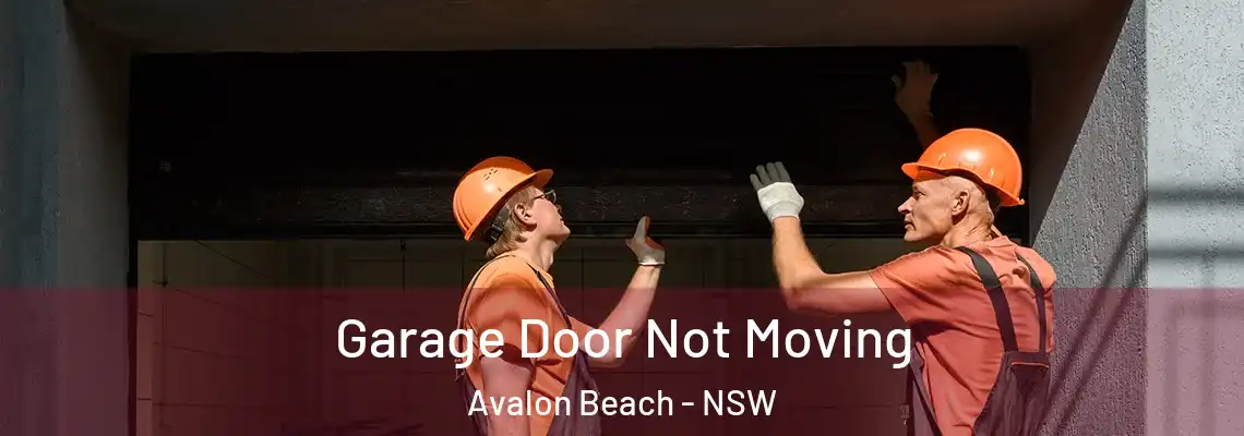 Garage Door Not Moving Avalon Beach - NSW