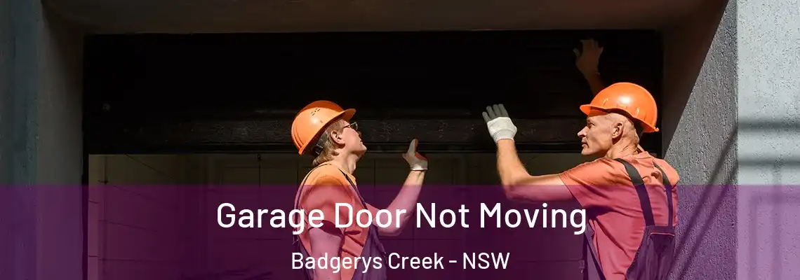 Garage Door Not Moving Badgerys Creek - NSW