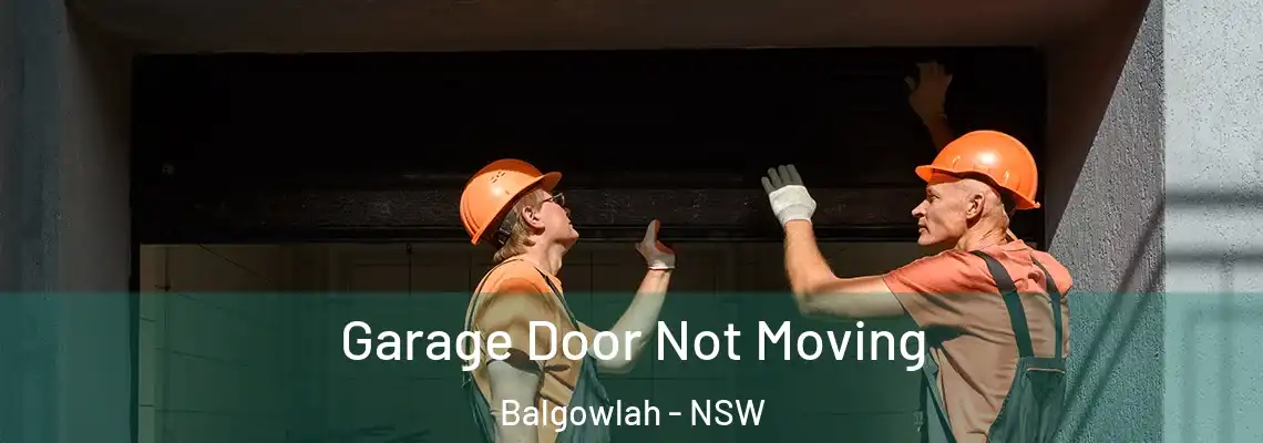 Garage Door Not Moving Balgowlah - NSW
