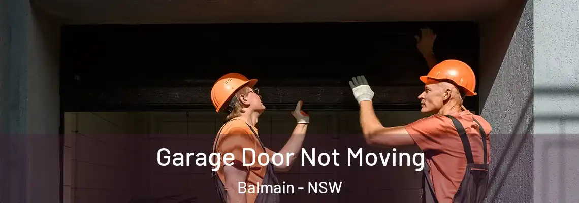 Garage Door Not Moving Balmain - NSW