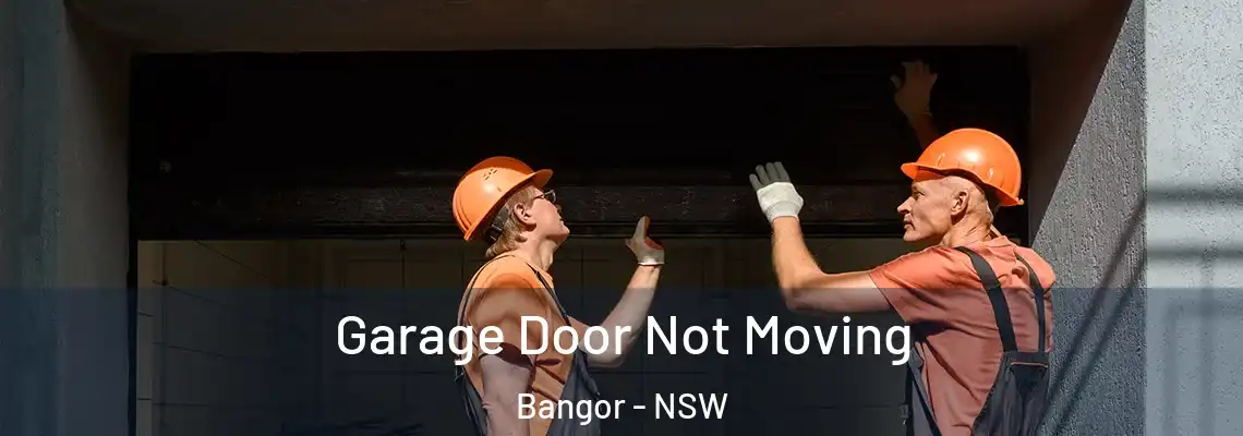 Garage Door Not Moving Bangor - NSW
