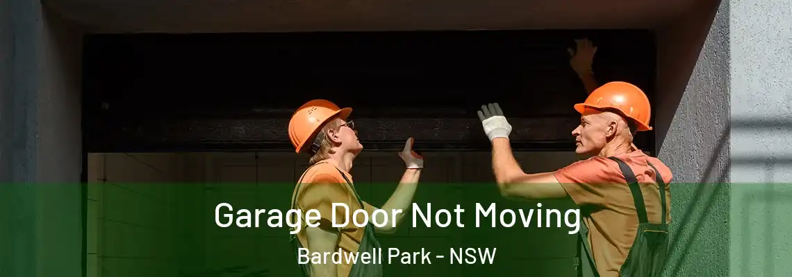  Garage Door Not Moving Bardwell Park - NSW
