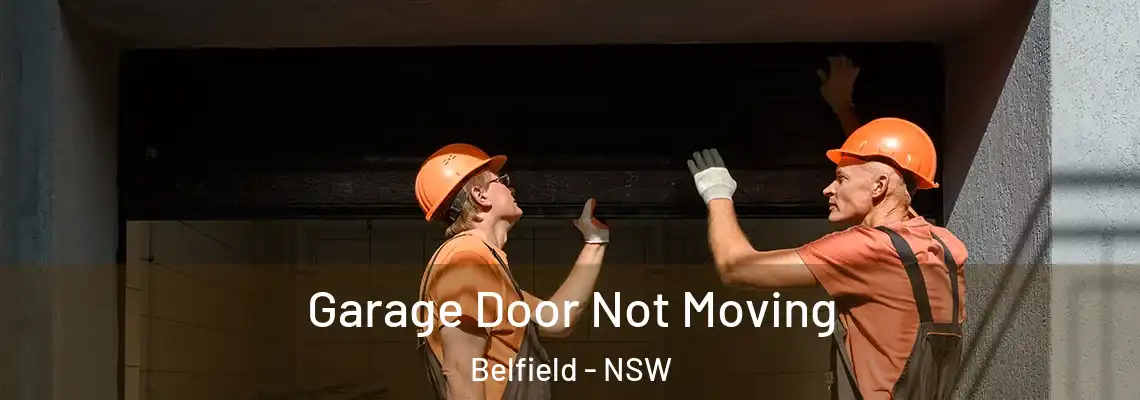 Garage Door Not Moving Belfield - NSW