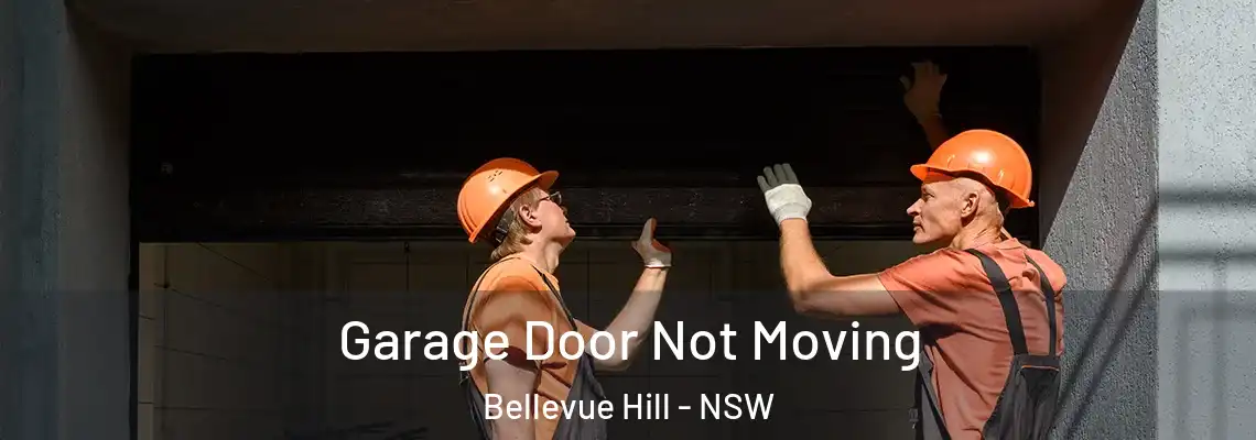 Garage Door Not Moving Bellevue Hill - NSW