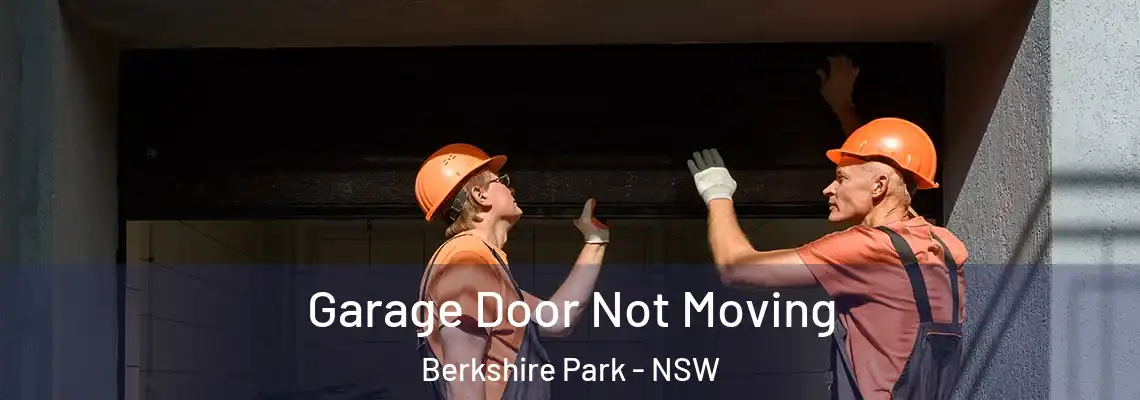 Garage Door Not Moving Berkshire Park - NSW