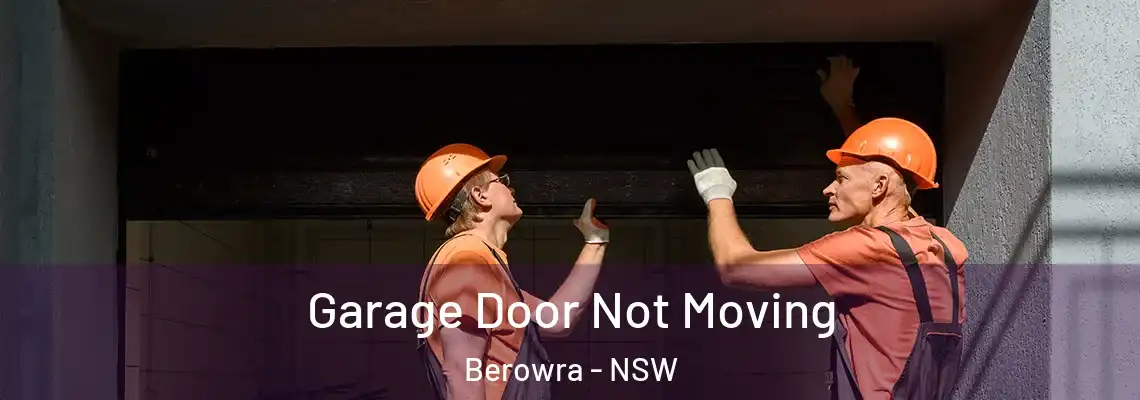 Garage Door Not Moving Berowra - NSW