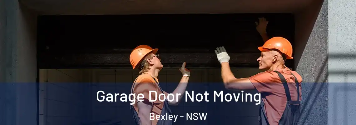 Garage Door Not Moving Bexley - NSW