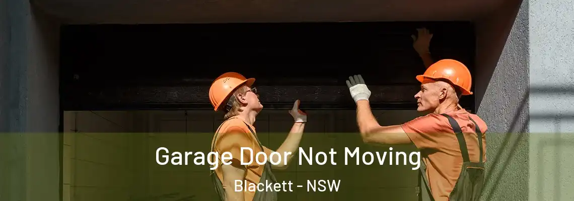 Garage Door Not Moving Blackett - NSW