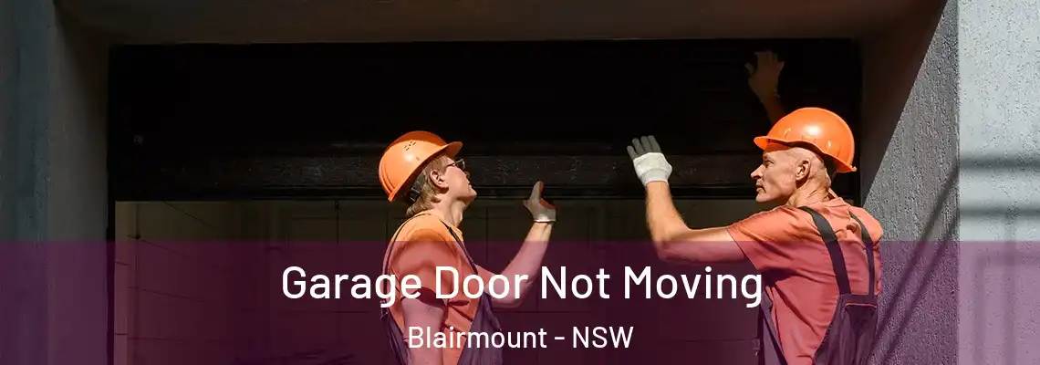 Garage Door Not Moving Blairmount - NSW