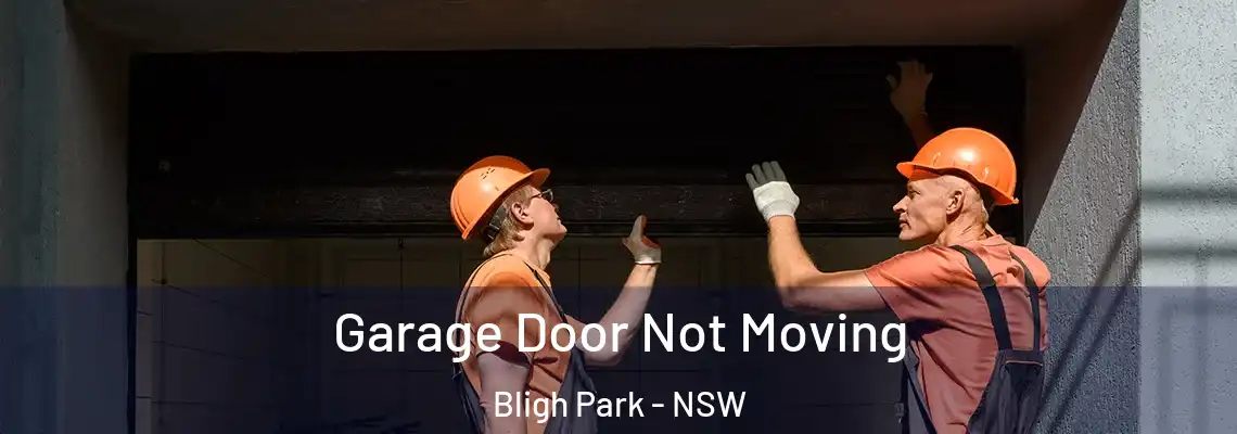 Garage Door Not Moving Bligh Park - NSW