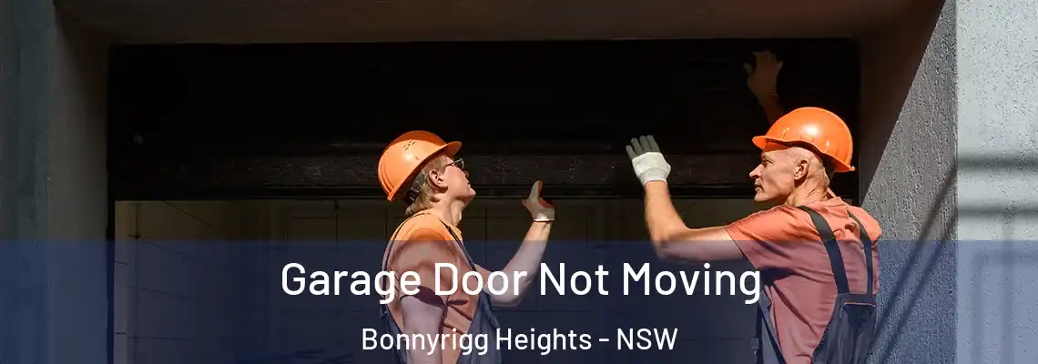 Garage Door Not Moving Bonnyrigg Heights - NSW