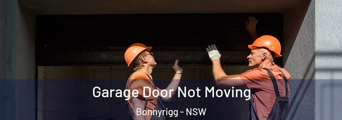 Garage Door Not Moving Bonnyrigg - NSW