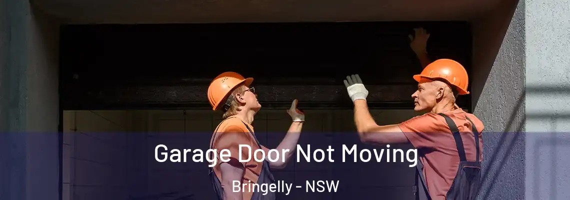 Garage Door Not Moving Bringelly - NSW