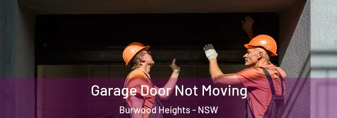 Garage Door Not Moving Burwood Heights - NSW