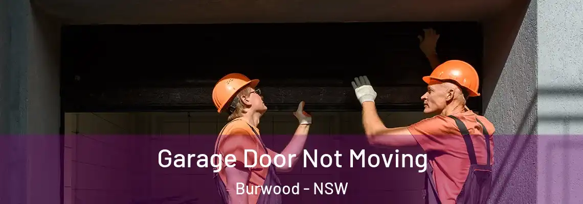 Garage Door Not Moving Burwood - NSW