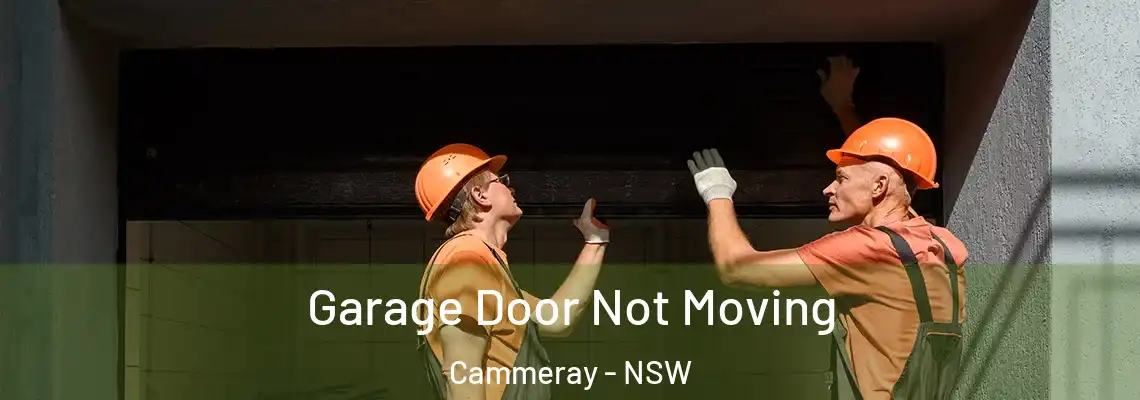 Garage Door Not Moving Cammeray - NSW