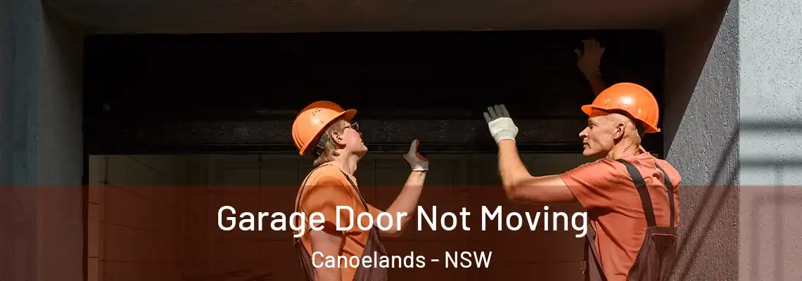 Garage Door Not Moving Canoelands - NSW
