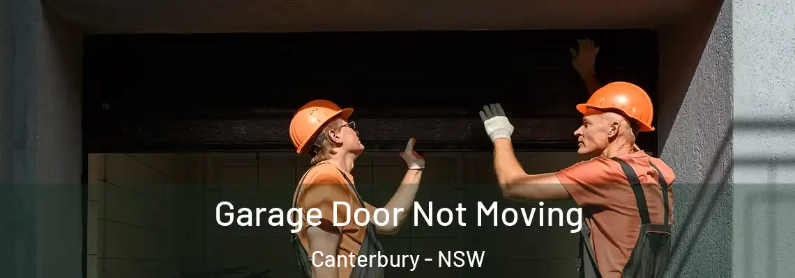Garage Door Not Moving Canterbury - NSW
