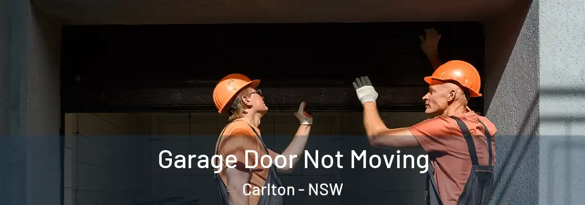 Garage Door Not Moving Carlton - NSW