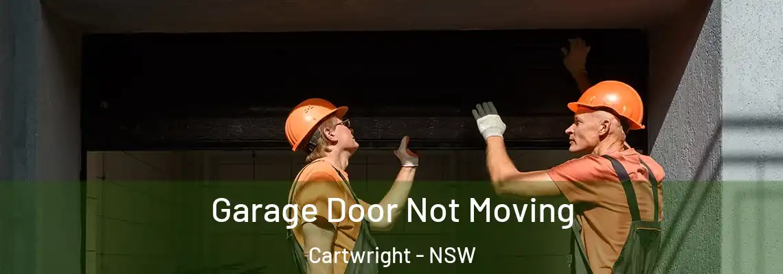 Garage Door Not Moving Cartwright - NSW
